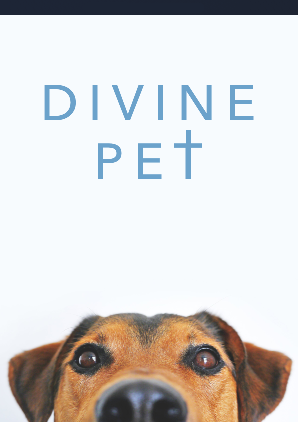 Divine Pet